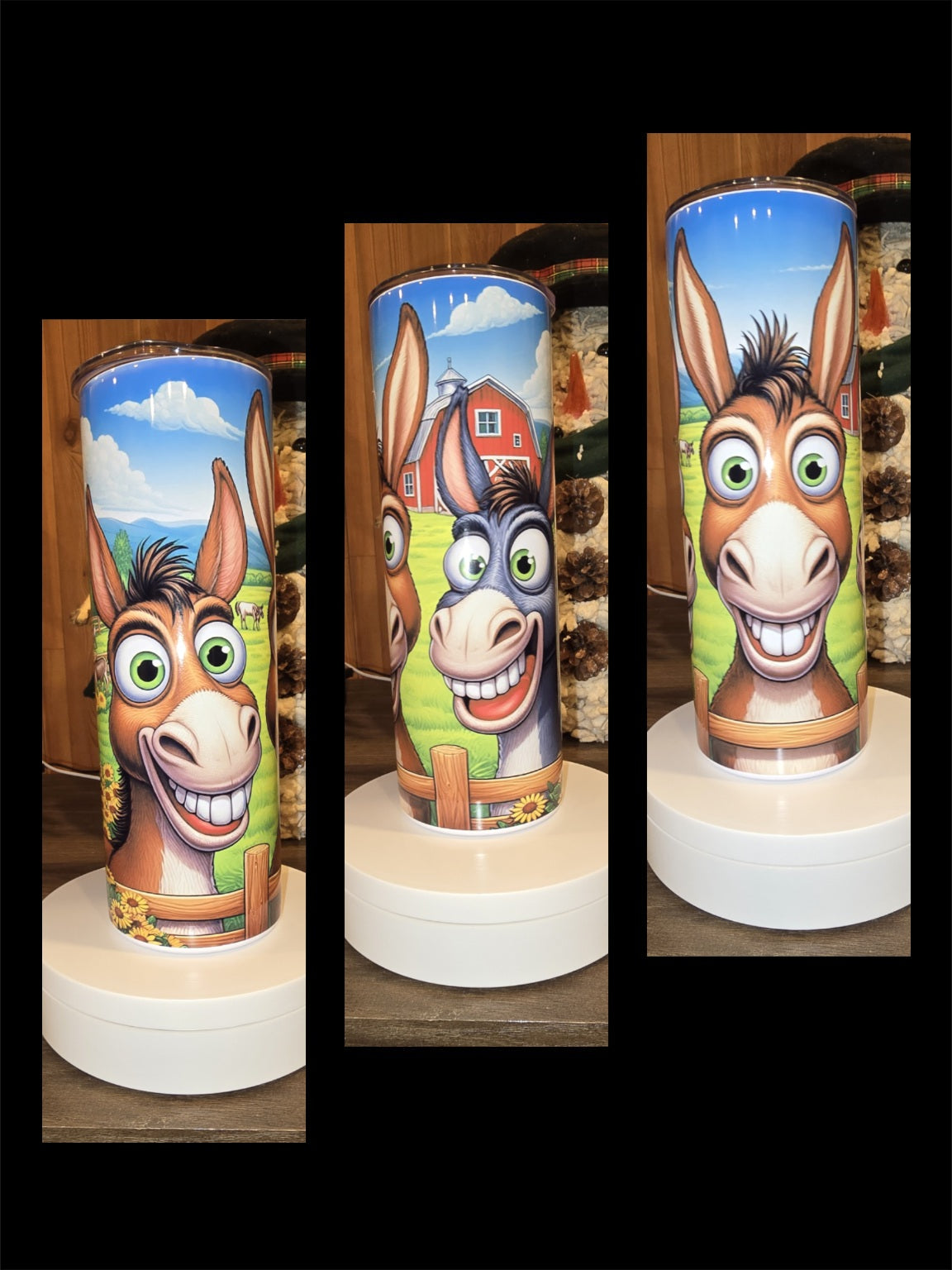 Funny donkey faces